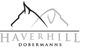 Haverhill Dobermann Logo
